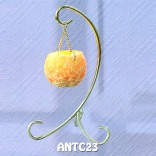 ANTC23