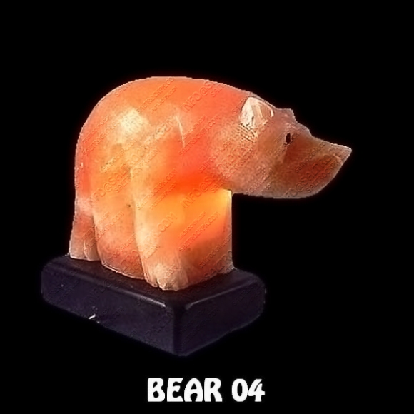 BEAR 04
