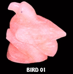 BIRD 01