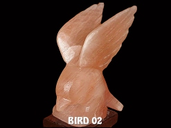 BIRD 02
