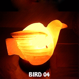 BIRD 04