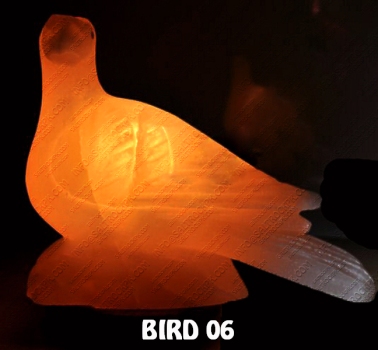 BIRD 06