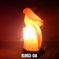 BIRD 08