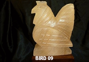 BIRD 09