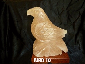 BIRD 10