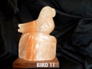 BIRD 11