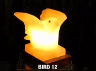 BIRD 12