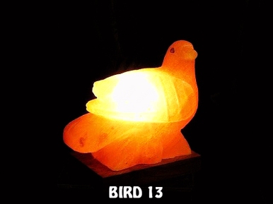 BIRD 13