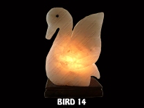 BIRD 14