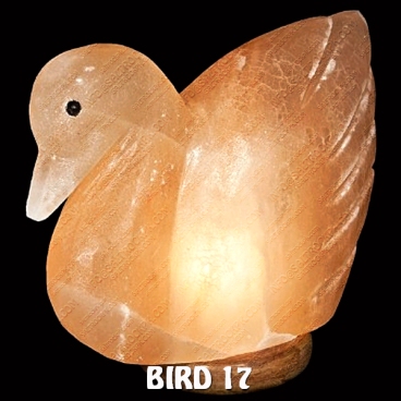 BIRD 17