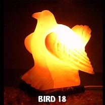 BIRD 18