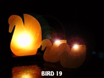 BIRD 19