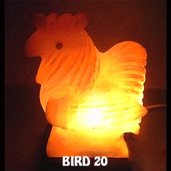 BIRD 20