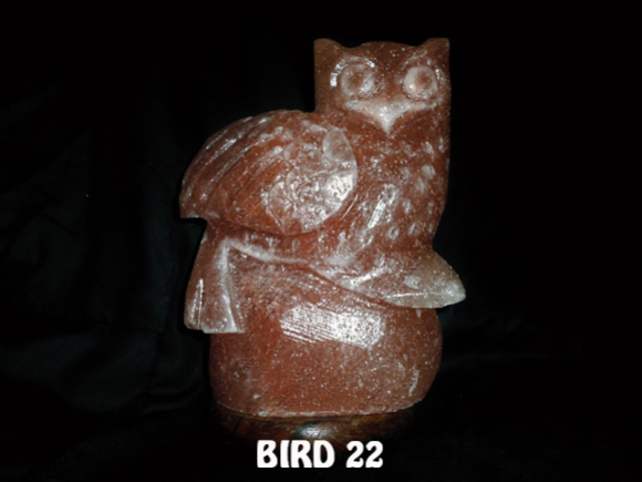 BIRD 22