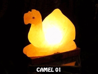 CAMEL 01