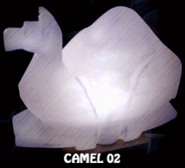 CAMEL 02
