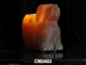 CNDA02