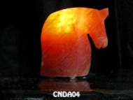 CNDA04