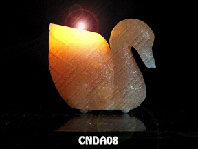 CNDA08