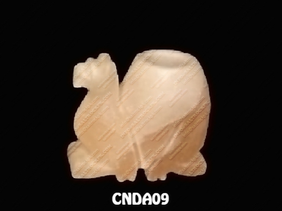 CNDA09