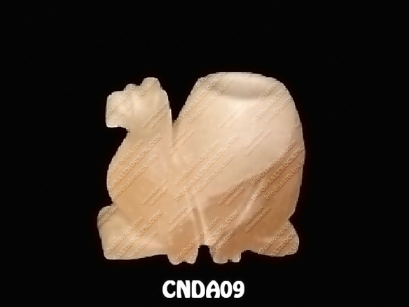 CNDA09