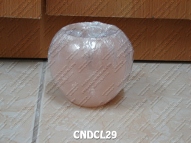 CNDCL29