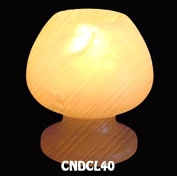 CNDCL40