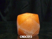 CNDCU12