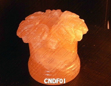 CNDF01