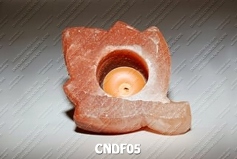 CNDF05