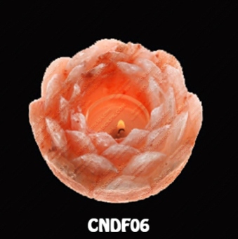 CNDF06