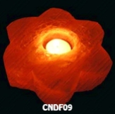 CNDF09