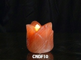 CNDF10