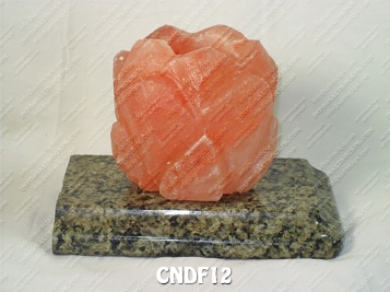 CNDF12