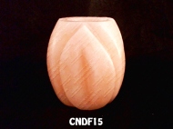 CNDF15