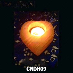 CNDH09