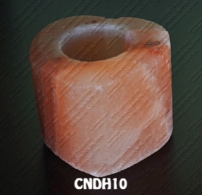 CNDH10