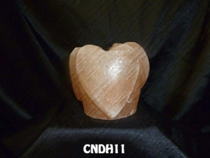 CNDH11