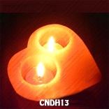 CNDH13