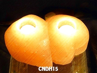 CNDH15