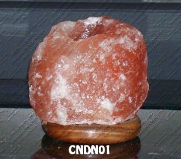 CNDN01