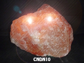 CNDN10
