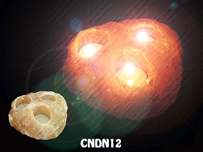 CNDN12