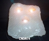 CNDN14