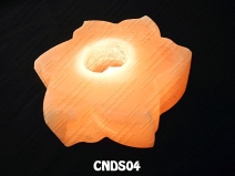 CNDS04