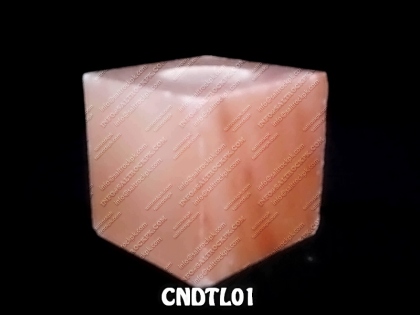 CNDTL01