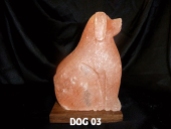 DOG 03