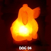 DOG 04