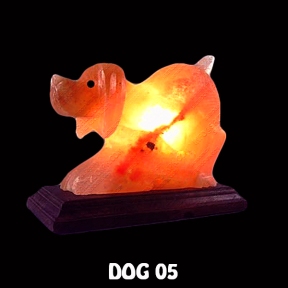 DOG 05