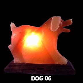 DOG 06